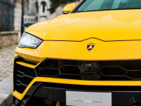 Lamborghini   :       